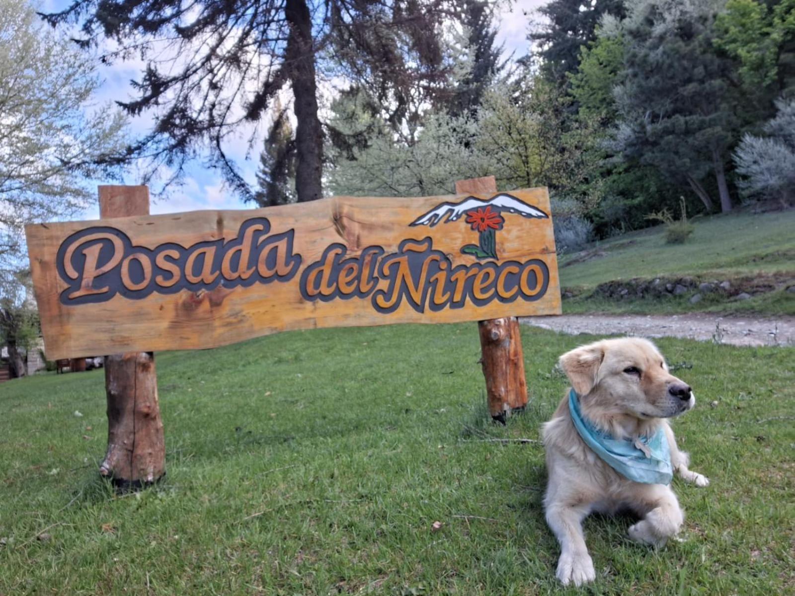 Posada del Ñireco San Carlos de Bariloche Exterior foto