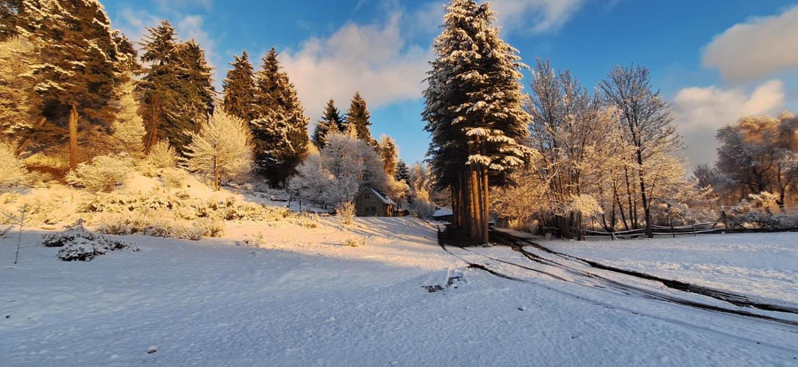 Posada del Ñireco San Carlos de Bariloche Exterior foto